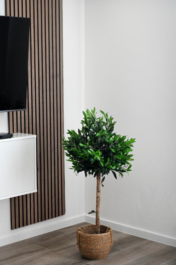 Aura Exclusive Apartment & Room Zara Esterno foto